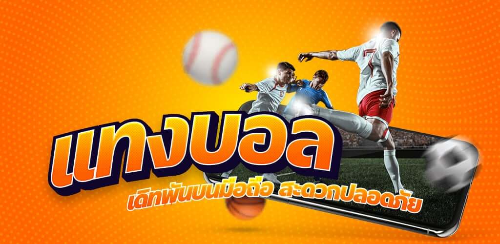 เว็บแทงบอล